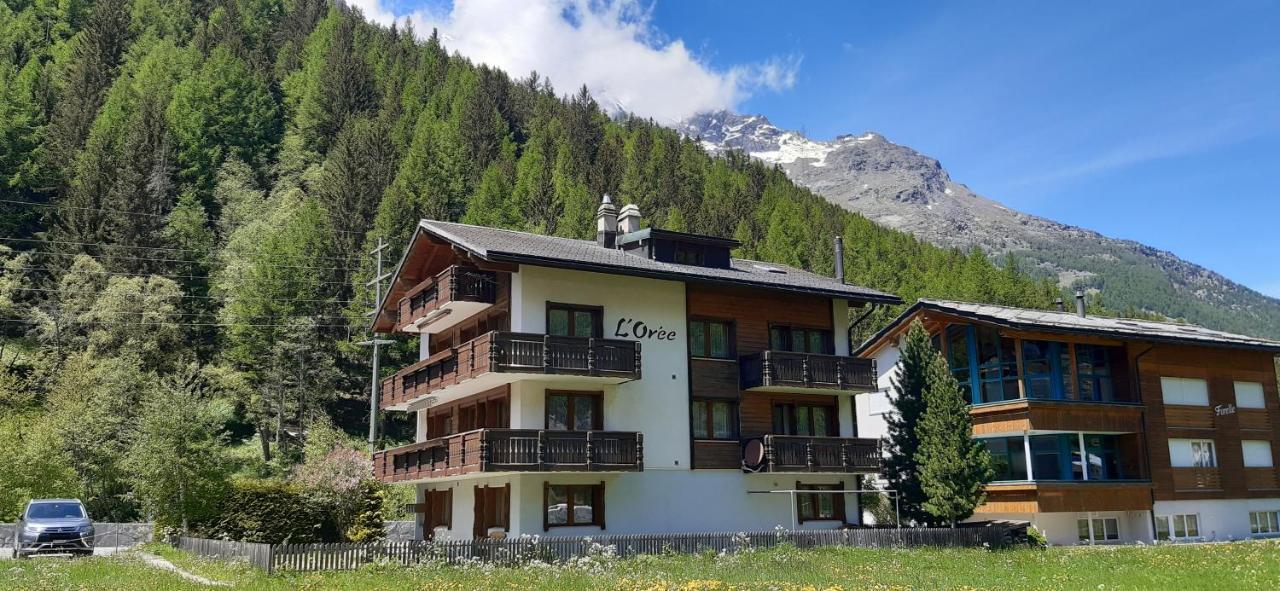Free Cable Car & Bus In The Summer Haus L'Oree Saas-Grund Exteriör bild